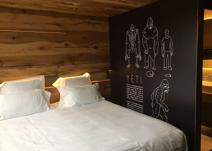 阿尔皮纳埃克莱克蒂克酒店 酒店 霞慕尼