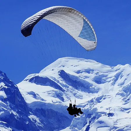 알피나 에클렉틱 샤모니